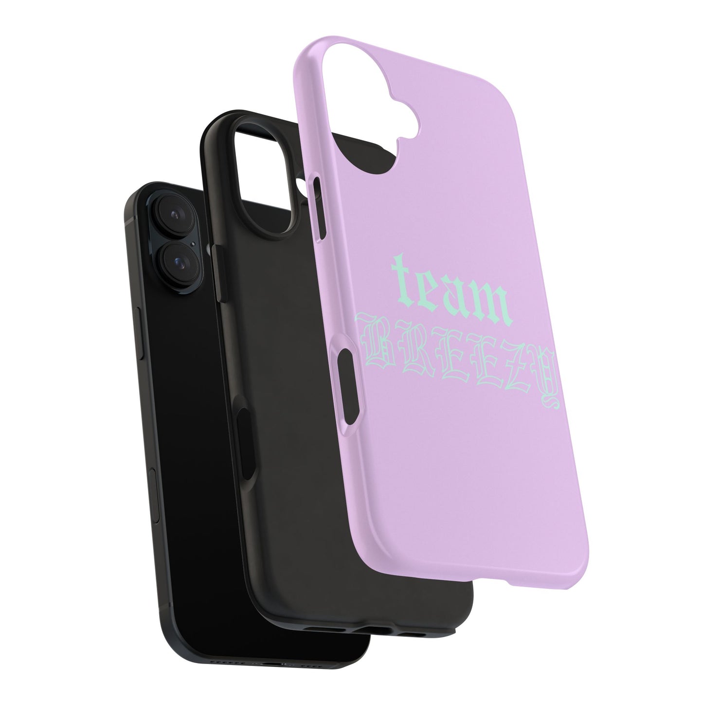 Purple Team Breezy case