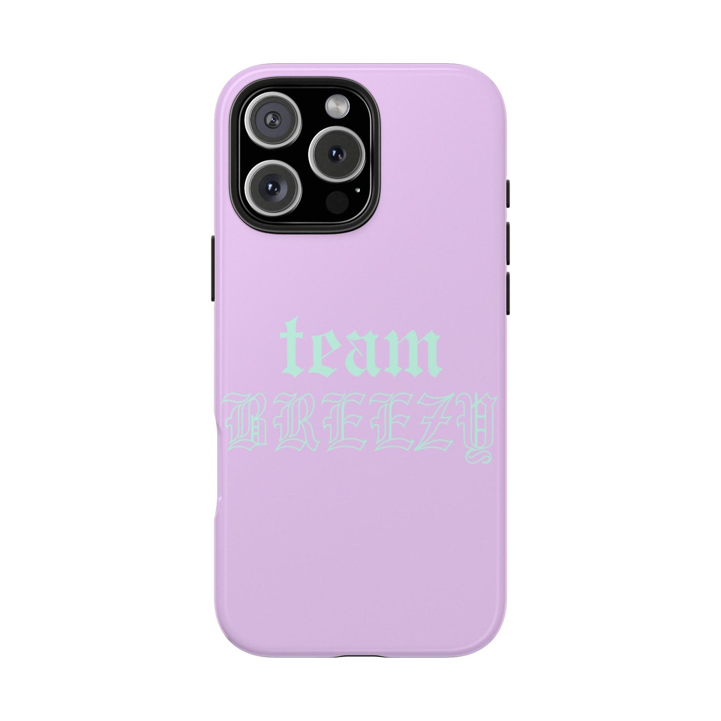 Purple Team Breezy case