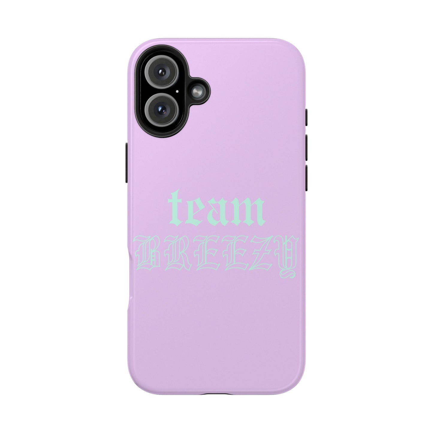 Purple Team Breezy case