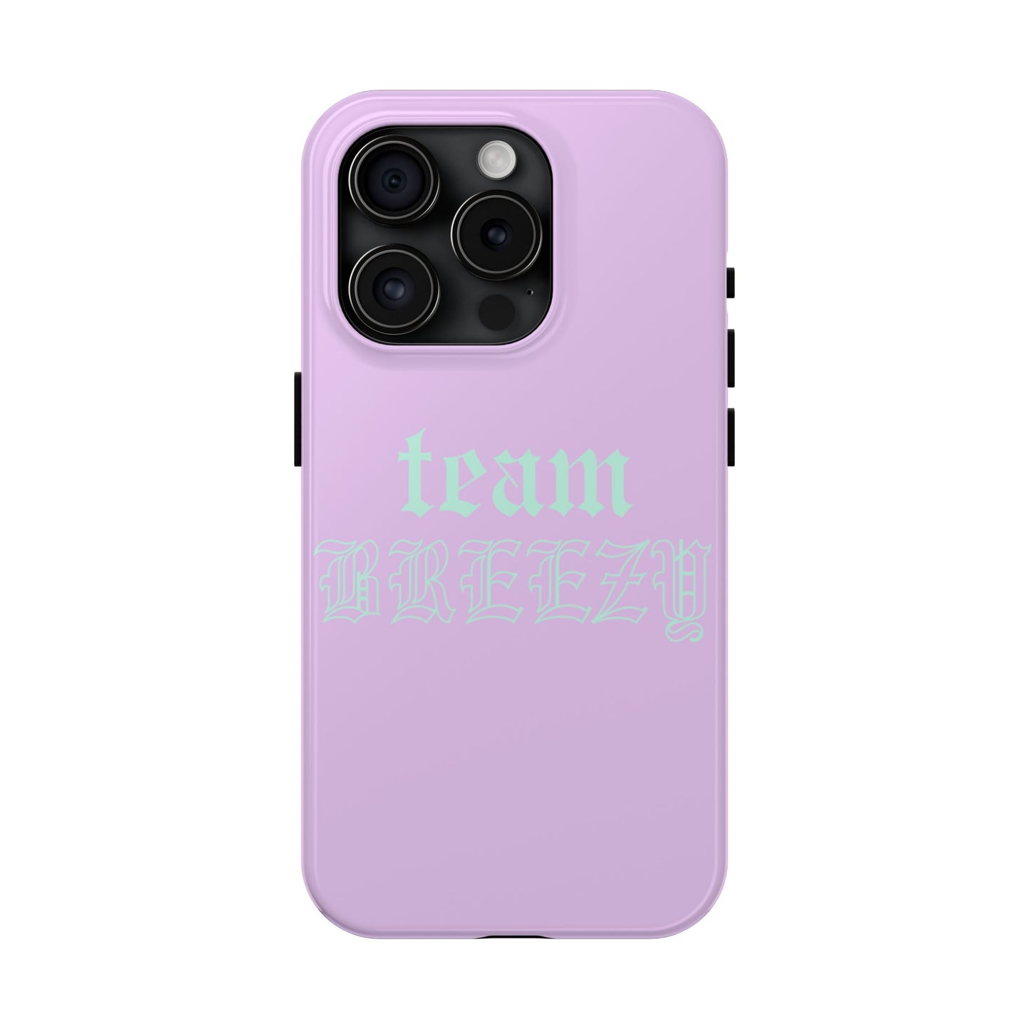Purple Team Breezy case