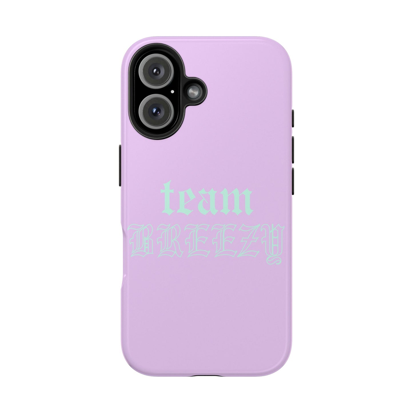 Purple Team Breezy case