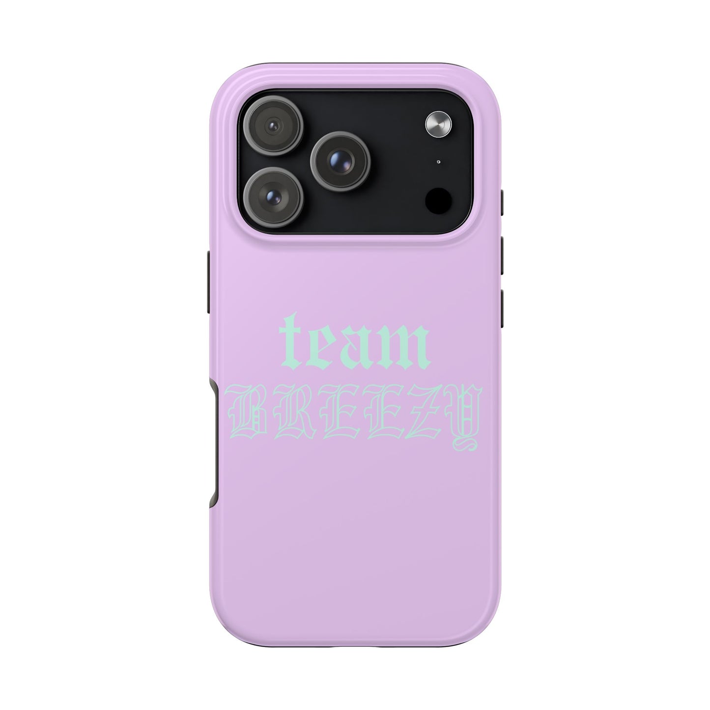 Purple Team Breezy case