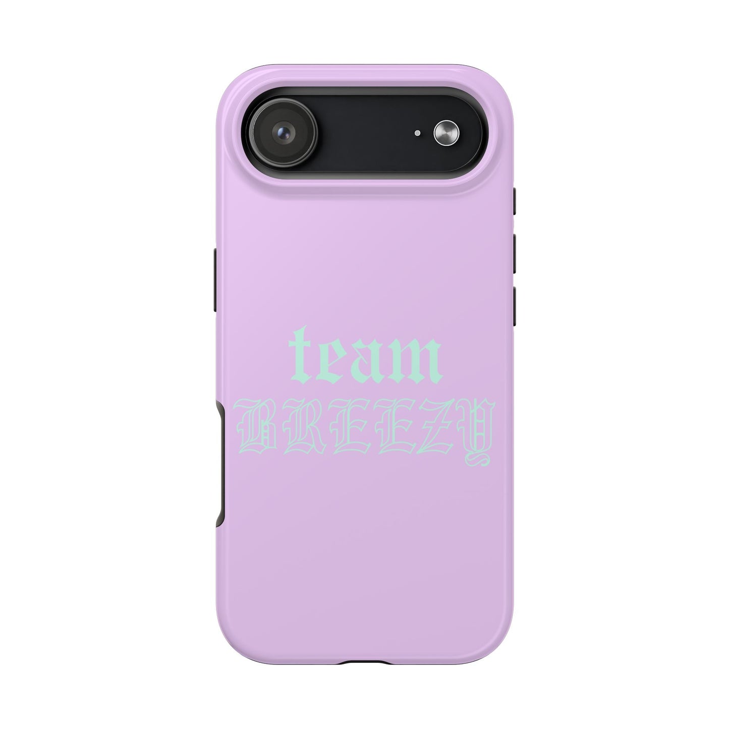 Purple Team Breezy case