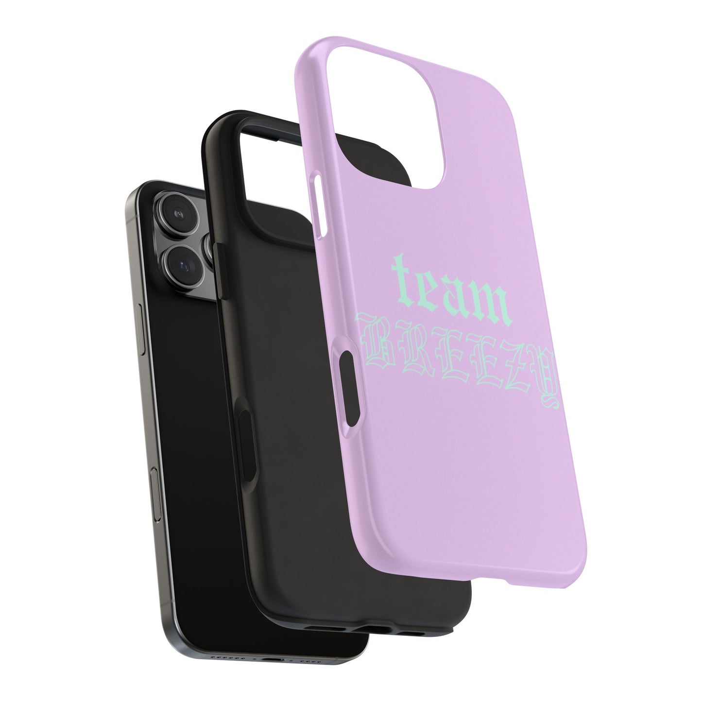 Purple Team Breezy case