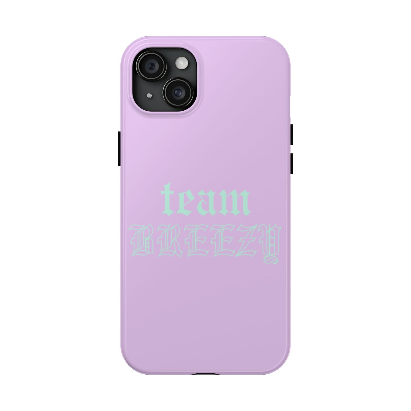 Purple Team Breezy case