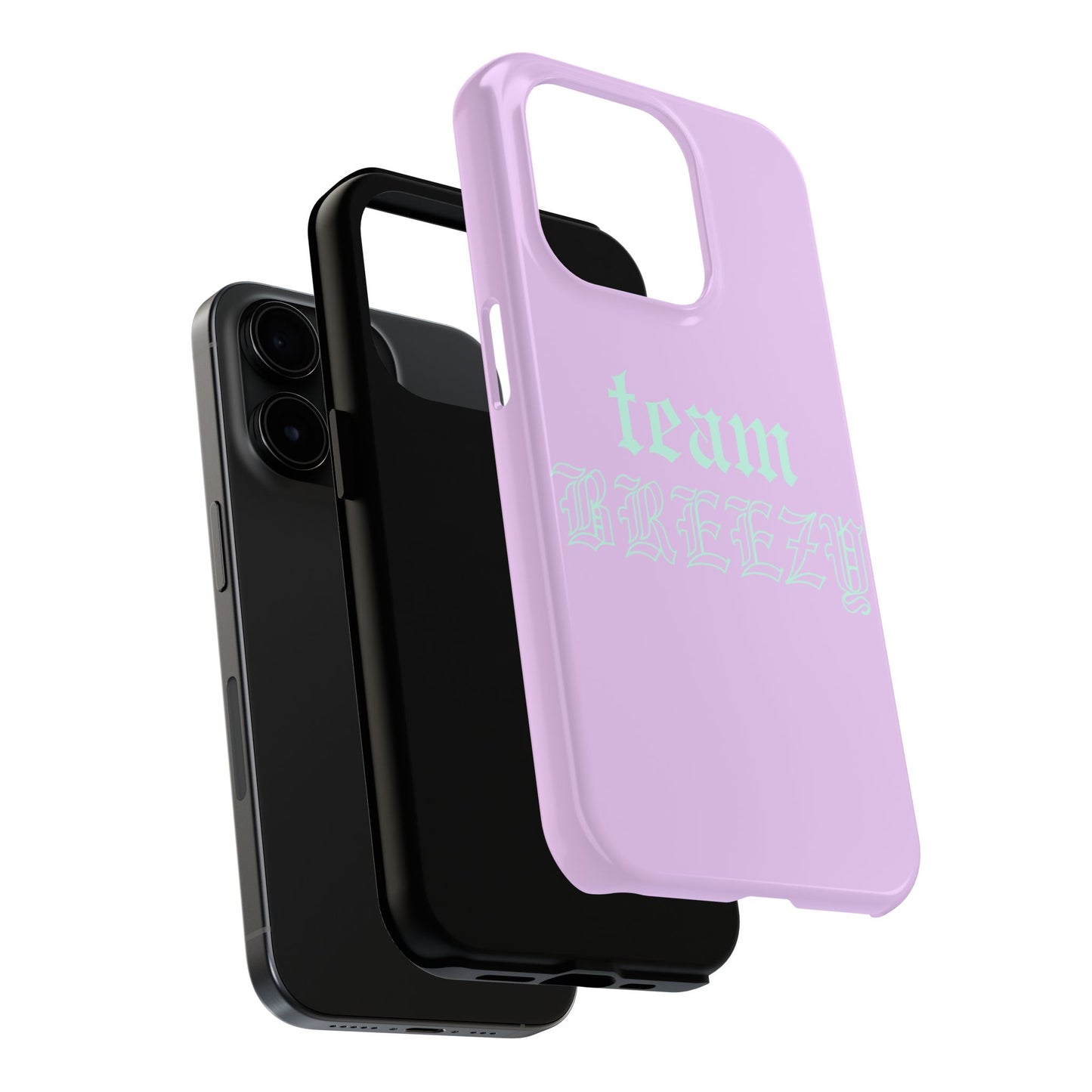 Purple Team Breezy case