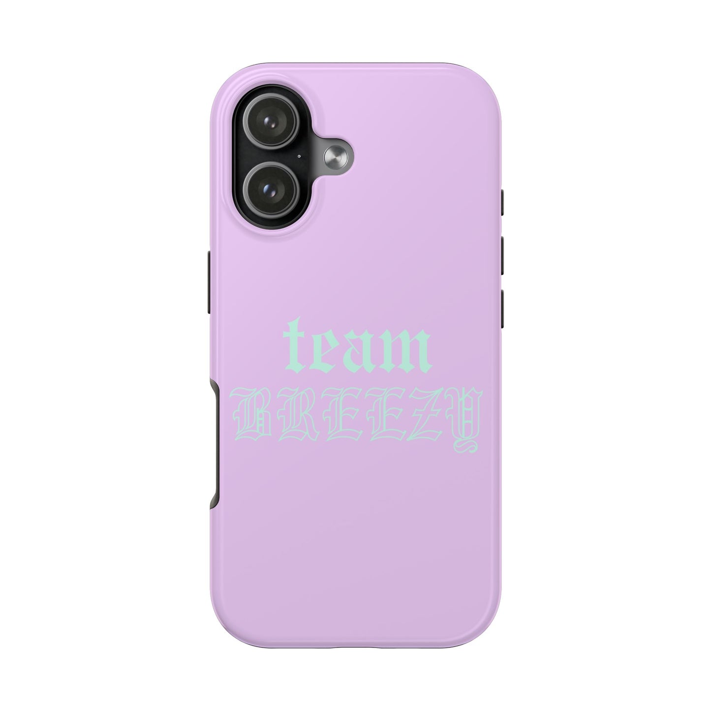 Purple Team Breezy case