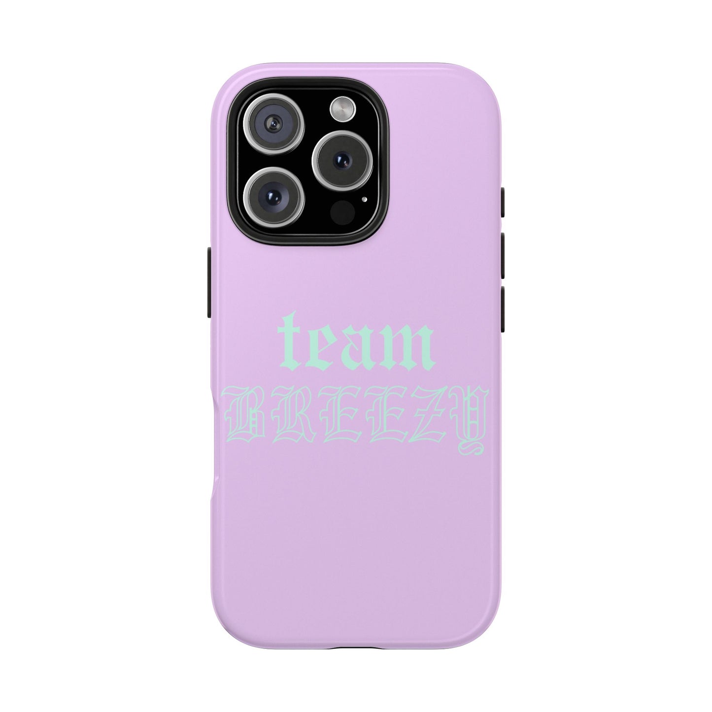 Purple Team Breezy case