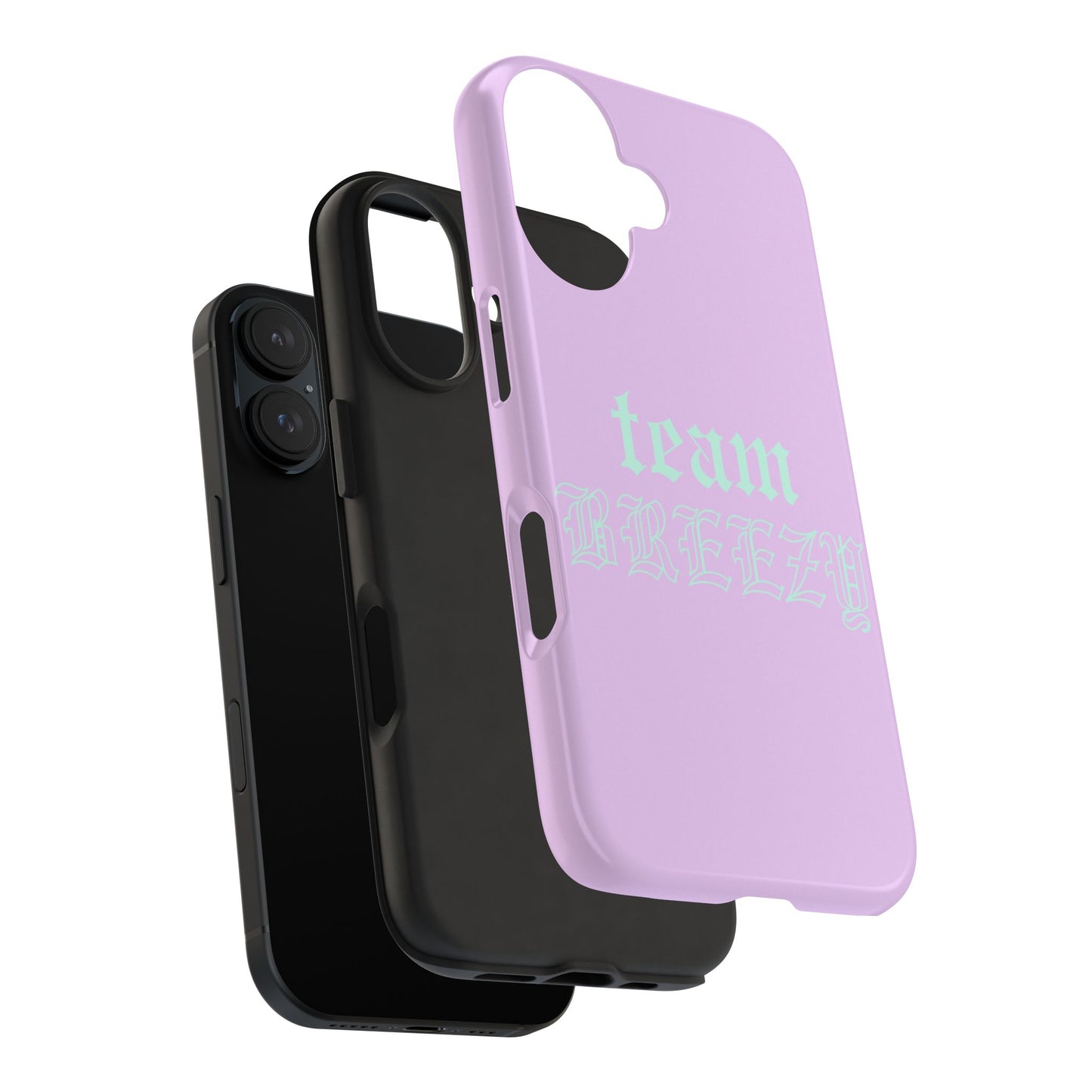 Purple Team Breezy case